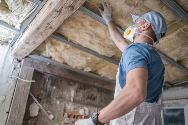 Best Geographic-Specific Insulation Services in Belmont, NC